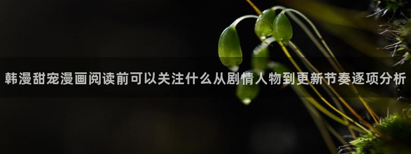 七七漫画人气榜:韩漫甜宠漫画阅读前可以关注什么从剧情人物到更新节奏逐项分析